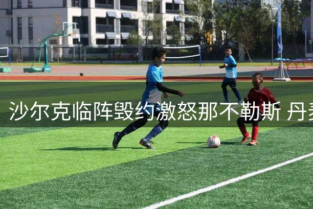 沙尔克临阵毁约激怒那不勒斯 丹麦国脚转会陷法律纠纷
